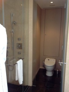 The shower was impeccable too