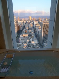 Bath with a view