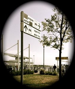 Airport taxi stand ahead